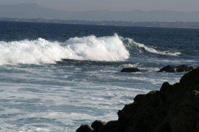 Pacific Grove/Asilomar 01