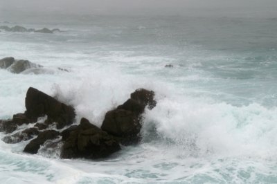 Pacific Grove/Asilomar 02