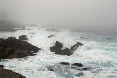 Pacific Grove/Asilomar 04