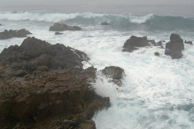 Pacific Grove/Asilomar 08