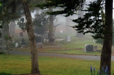 Pacific Grove Cemetary 02