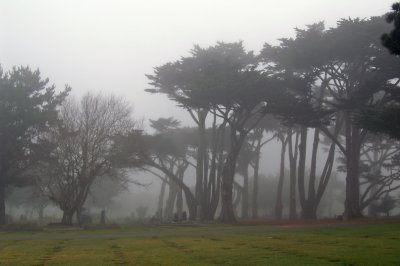 Pacific Grove Cemetary 08