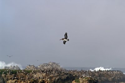 Pacific Grove/Asilomar 14