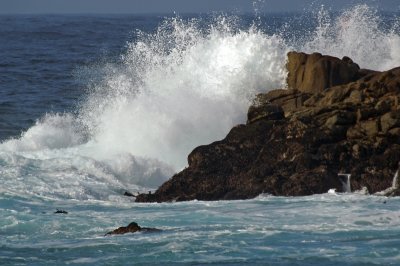 Pacific Grove/Asilomar 17