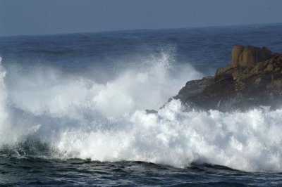 Pacific Grove/Asilomar 20