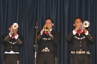 Mariachi JAM-JS-20.jpg