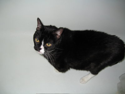 Kippy in tub