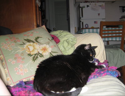 Kip on her favorite blankie