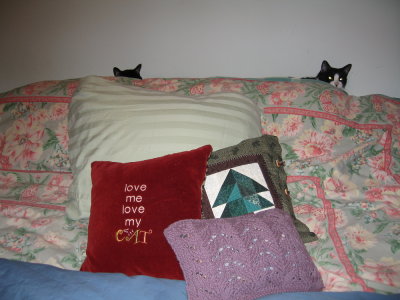 hidden cats