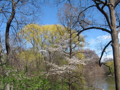 Spring on the UWS