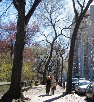 Central Park West walkers