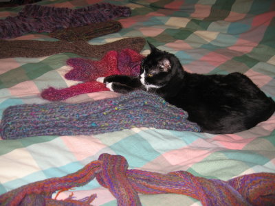 Kip and scarves