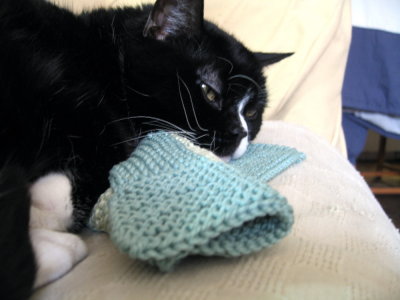 Is it a blankie yet?