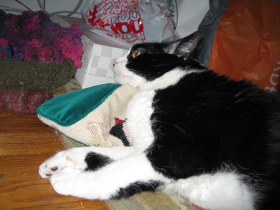 catnip buzz