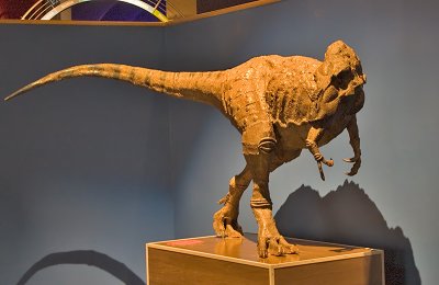 P6192-Royal Tyrrell Museum.jpg