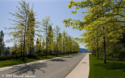 P7850-Mission Hill.jpg