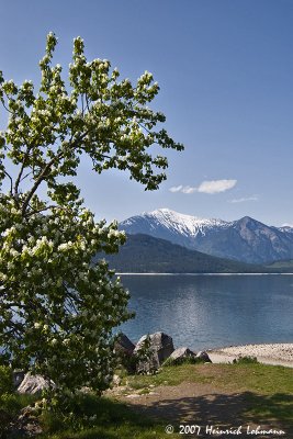 P8172-Galena Bay.jpg