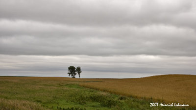 P2137-Manitoba Landscape.jpg