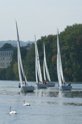 Soling