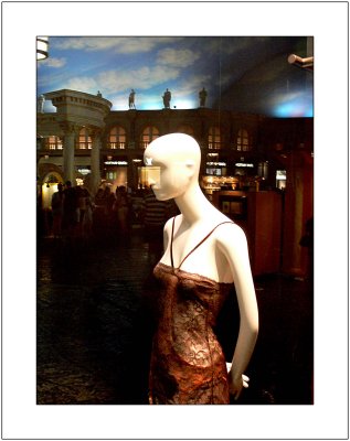 P1140786-copy.jpg