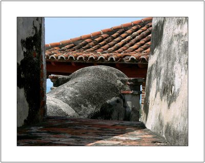 P1190642-copy.jpg