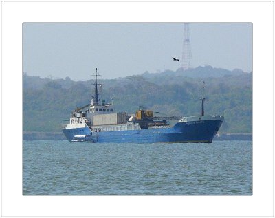 Amazon's Dolphin