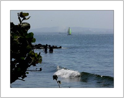 Green Sail in the Distance