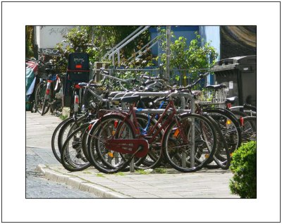 A Horde of Bicycles