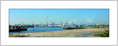 Panoramic View of the Port