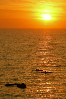 Laguna Beach Kayakers