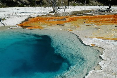 Geyser's Edge