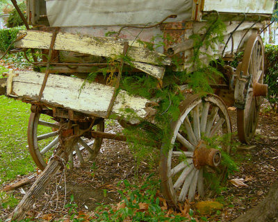 Old Wagon