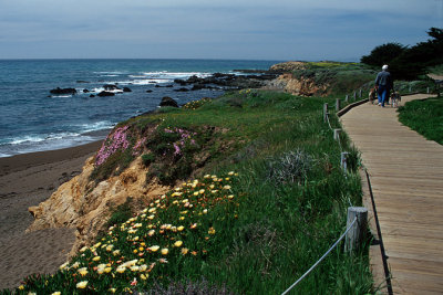 Coastal Boardwalk