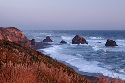 Windy Shore