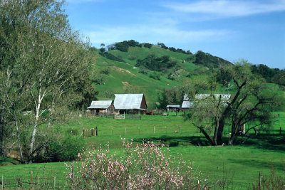 Spring Ranch