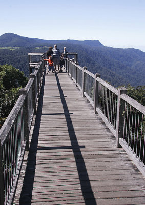 Sky walk Dorrigo