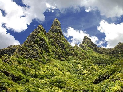 Kauai Cones