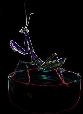 Artsy Mantis