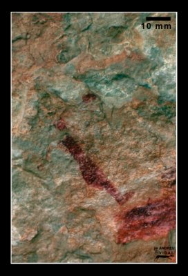 g6/05/599505/3/82240205.J1ibiiO4.jpg