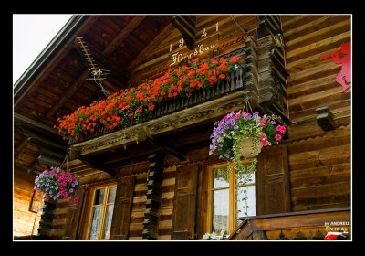 Balcons i flors