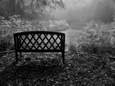 Bench