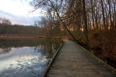 Walkway Morning