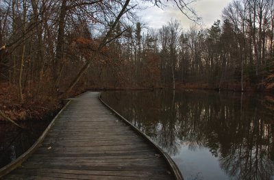 Wooden Walkway