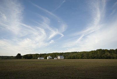 Binning Road Farm