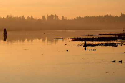 Burnaby Lake at sunset