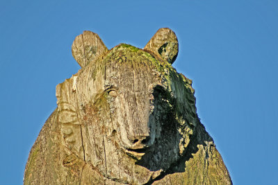 A Bear sits atop the totem pole