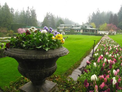 Butchart Gardens in the rain