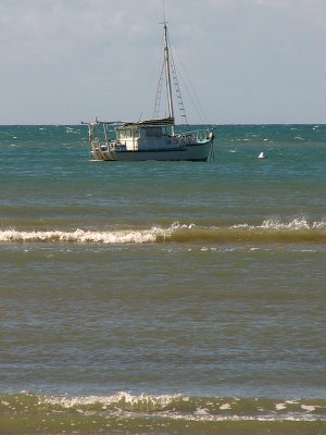 Cape Tribulation