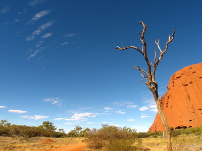 Walking around Uluru