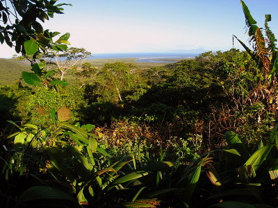 The lookout at Alexander Ridge